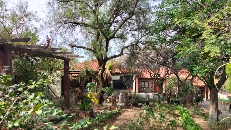 Jardín con pérgola de madera y árboles frente a las cabañas