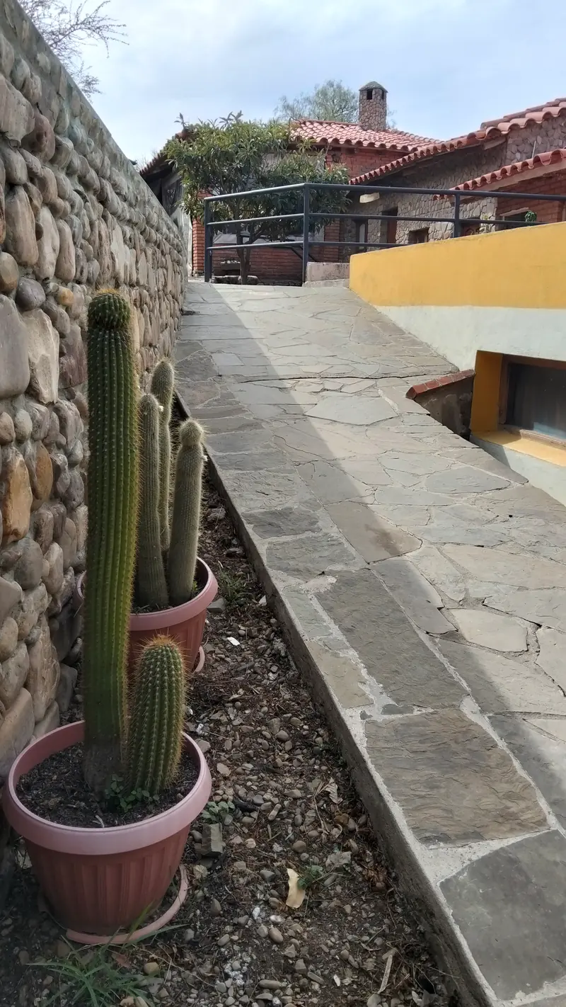 Sendero de piedra junto a un muro de piedra con un cactus en maceta
