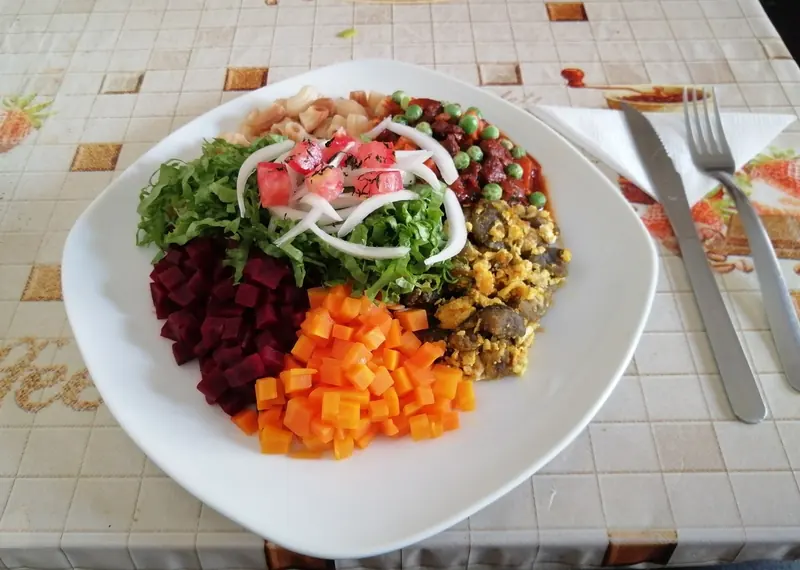 Plato de saice, el plato típico de Tarija, con ensalada y verduras