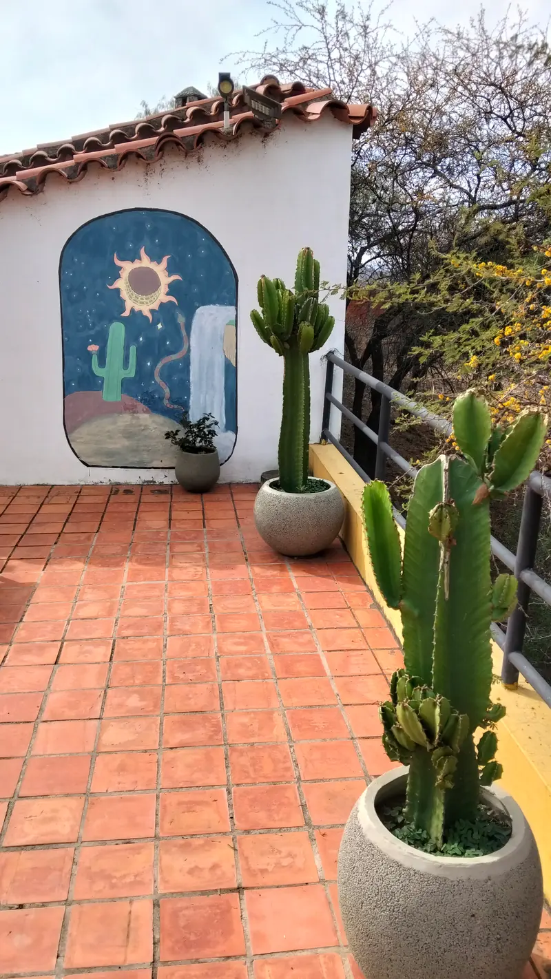 Terraza con cactus en macetas y un mural de sol pintado en la pared